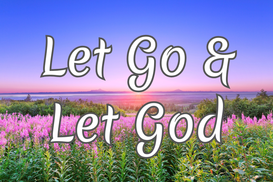 Field of pink flowers with 'Let Go & Let God' text against a scenic background