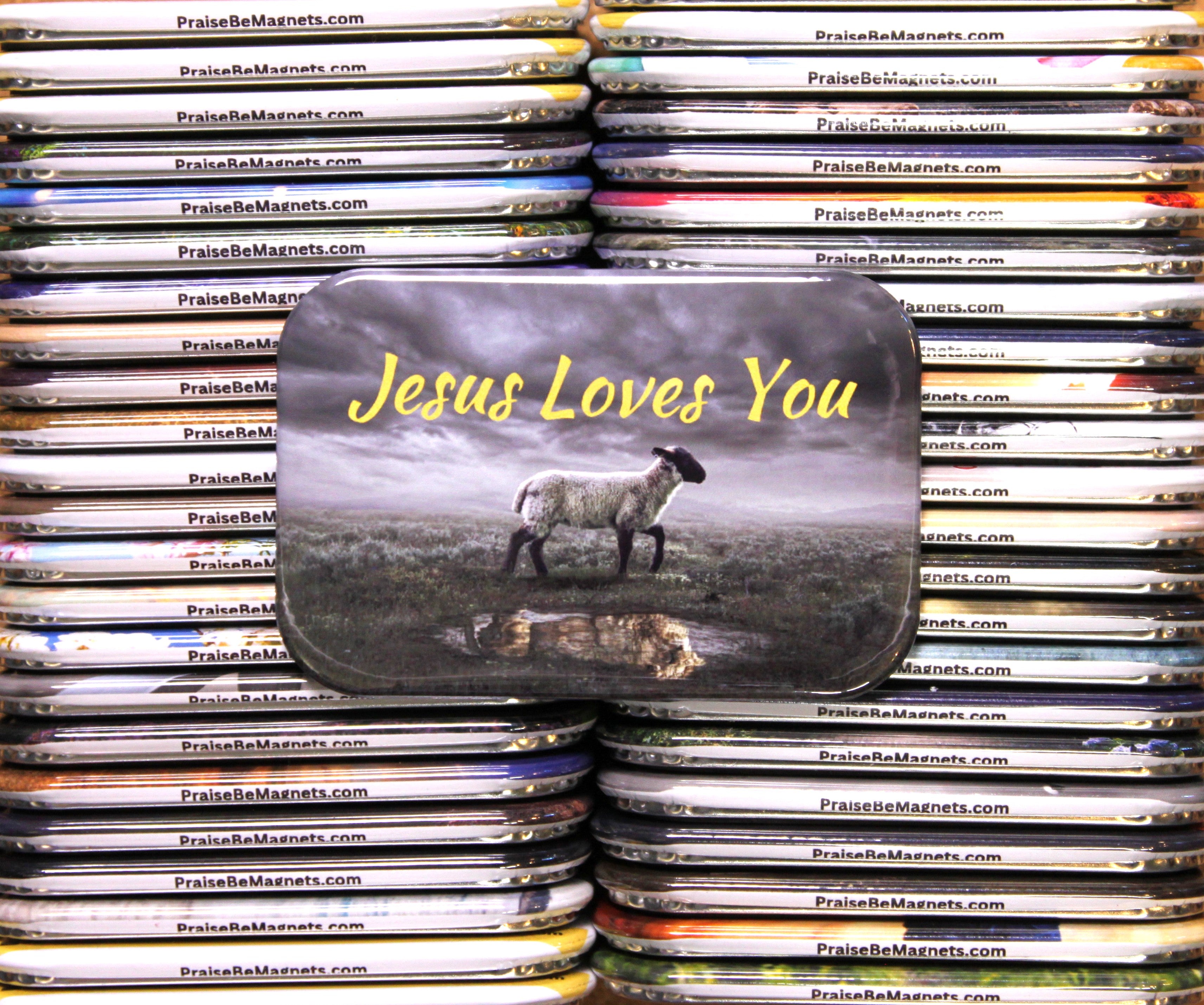 Photo Jesus Loves You Lamb & Lion