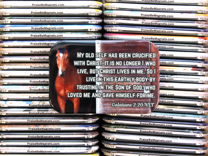 Stack of PrayReMagnets with a magnet featuring a horse and religious text.