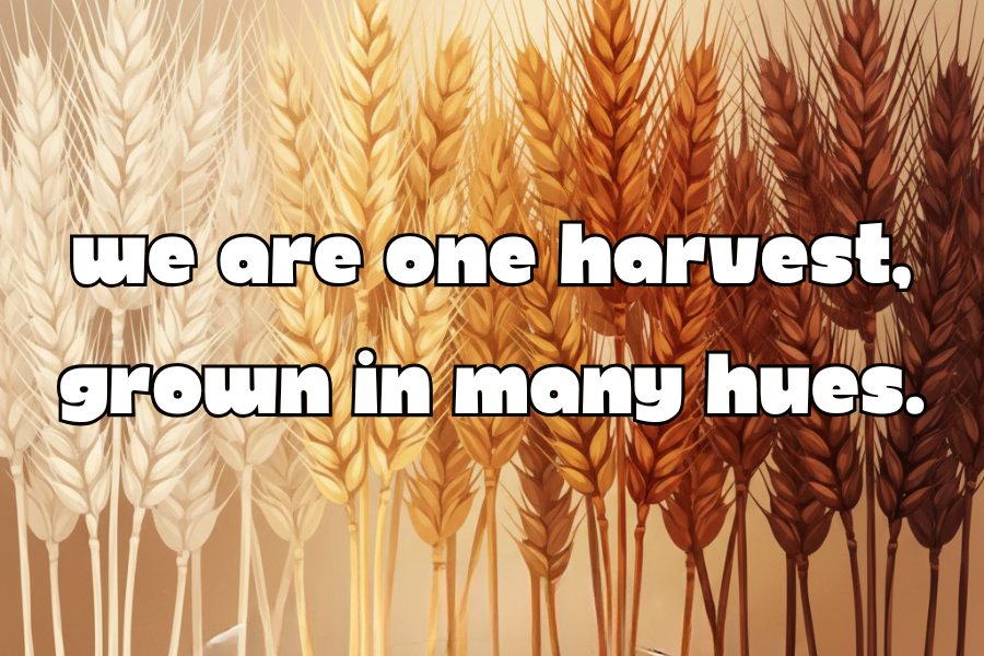 Illustration of wheat with text 'we are one harvest, grown in many hues.'
